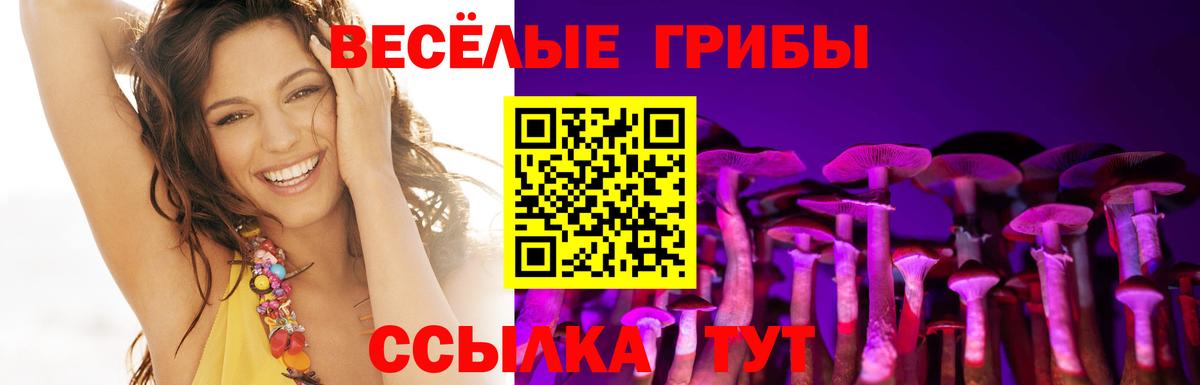 купить  сайты  Псилоцибиновые грибы мицелий  Губаха  Вход с VPN  Галлюциногенные грибы мухоморы 